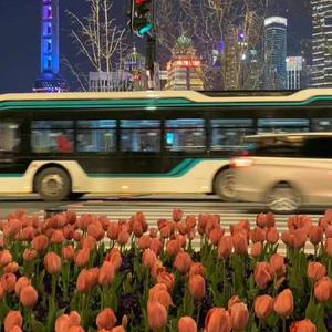 西安机床生产厂家用小蛙营销导航
